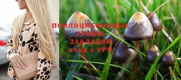 мескалин Алзамай