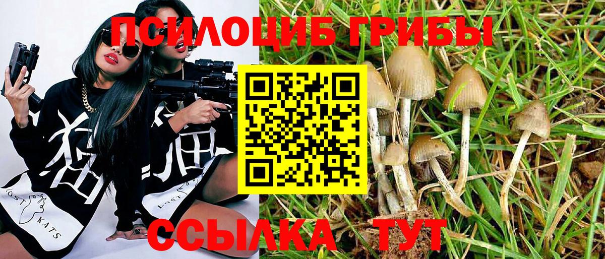 Псилоцибиновые грибы Psilocybe  Псилоцибиновые грибы мухоморы  Вход с VPN  Златоуст 